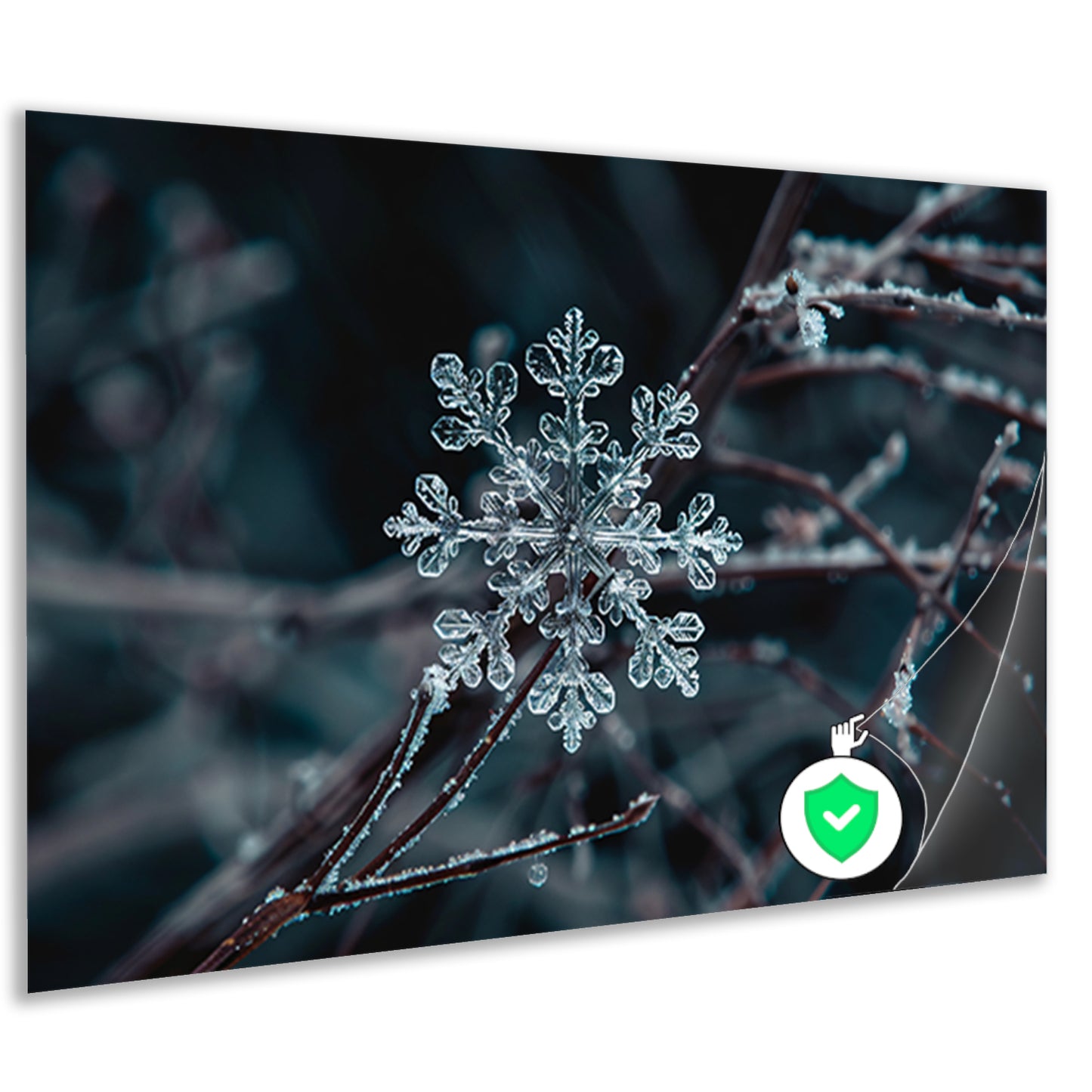 Gedetailleerde macrofoto van een sneeuwvlok   poster