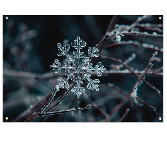 Gedetailleerde macrofoto van een sneeuwvlok   tuinposter