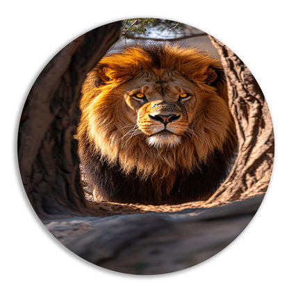 Portret van een Leeuw in een Boom aluminium muurcirkel