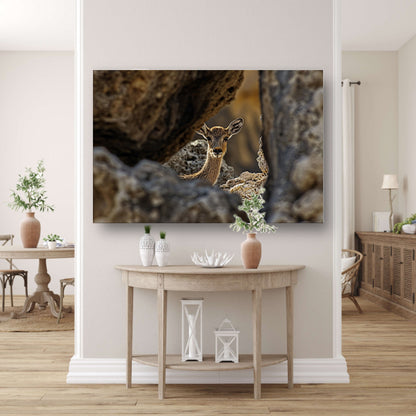 Jonge Ree in Stenen Schuilplaats poster