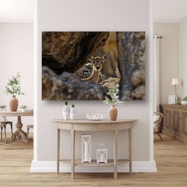 Jonge Ree in Stenen Schuilplaats poster