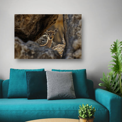 Jonge Ree in Stenen Schuilplaats canvas