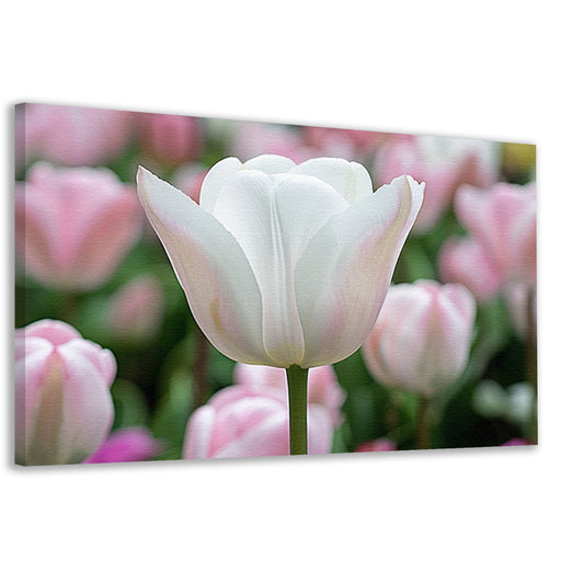 Witte tulp omringd door zachte kleuren  canvas