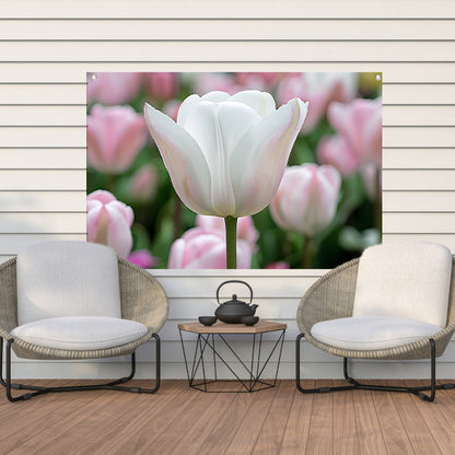 Witte tulp omringd door zachte kleuren   tuinposter