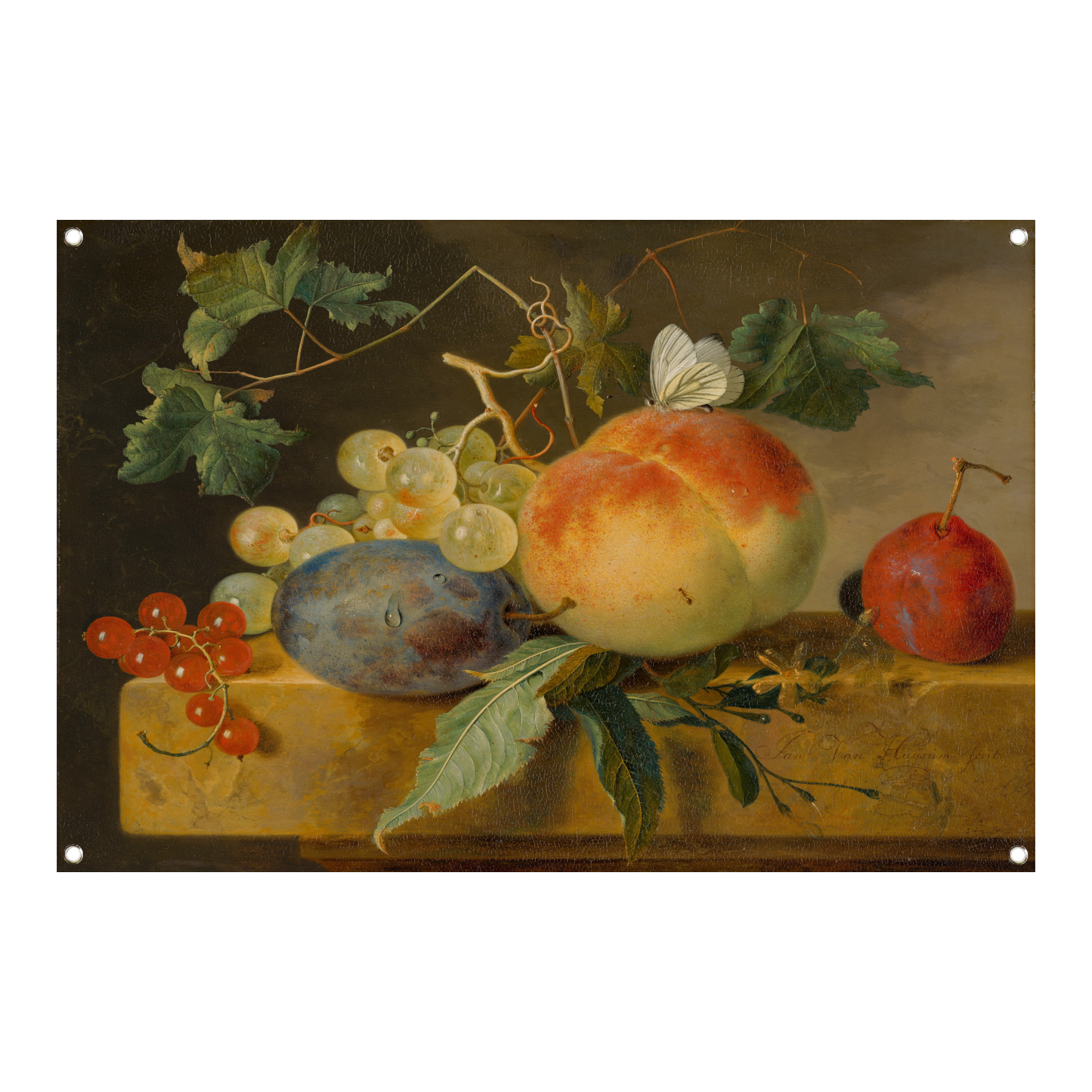 Fruitstilleven - Jan van Huysum tuinposter