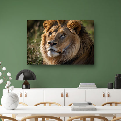 Majestueuze close-up van een leeuw in de natuur canvas met baklijst