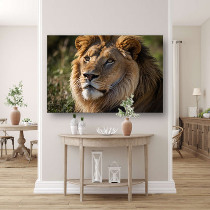 Majestueuze close-up van een leeuw in de natuur acrylglas