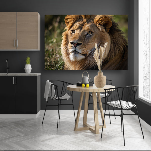 Majestueuze close-up van een leeuw in de natuur canvas met baklijst