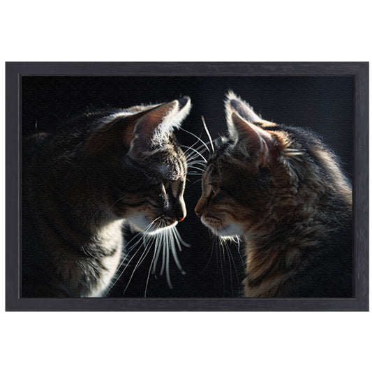Twee katten in donkere omgeving kijken elkaar aan canvas met baklijst