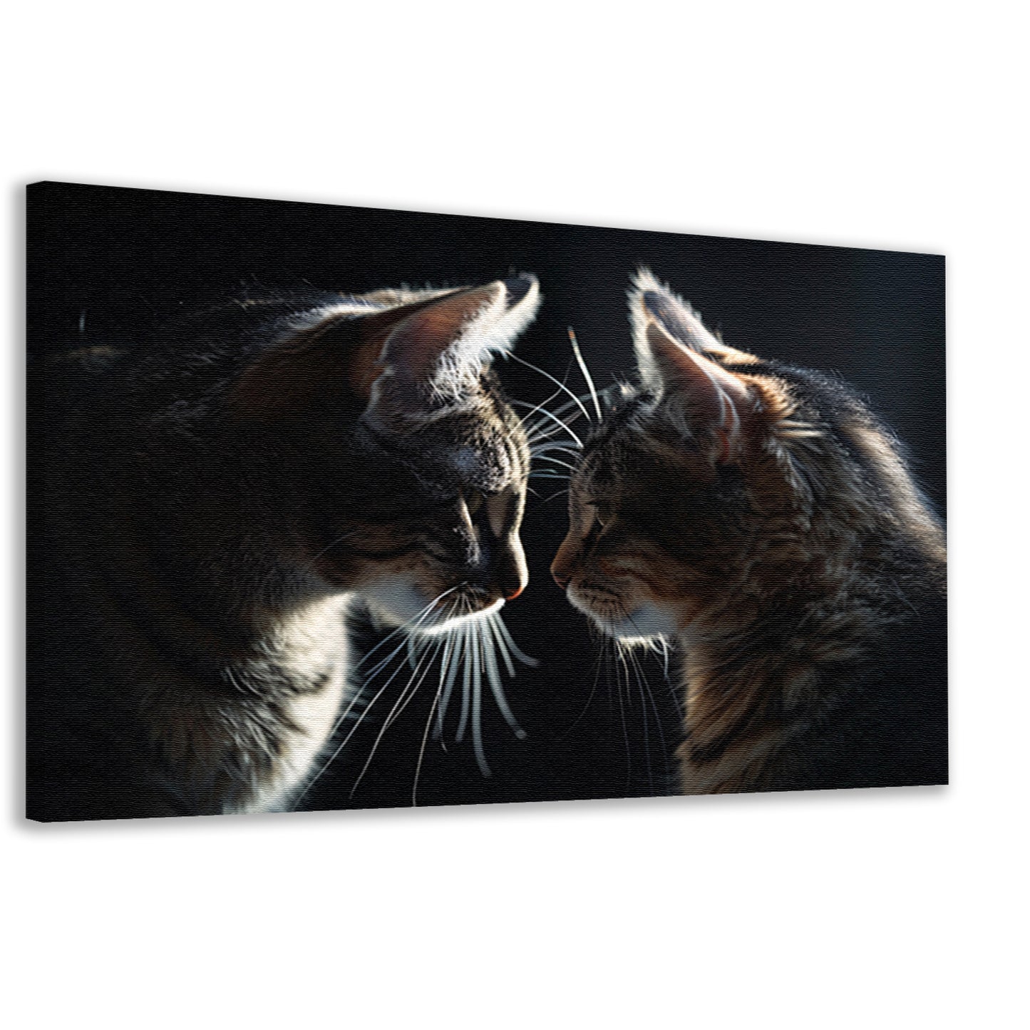 Twee katten in donkere omgeving kijken elkaar aan canvas