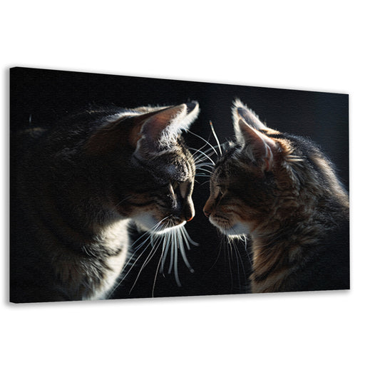 Twee katten in donkere omgeving kijken elkaar aan canvas