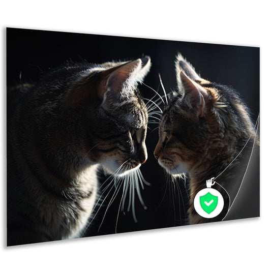 Twee katten in donkere omgeving kijken elkaar aan poster