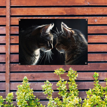 Twee katten in donkere omgeving kijken elkaar aan tuinposter