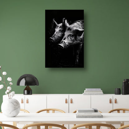 Intense blikken van zwart-wit varkens canvas met baklijst