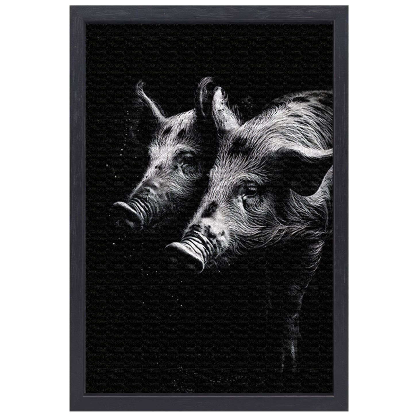 Intense blikken van zwart-wit varkens canvas met baklijst