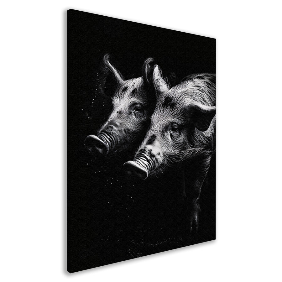 Intense blikken van zwart-wit varkens canvas