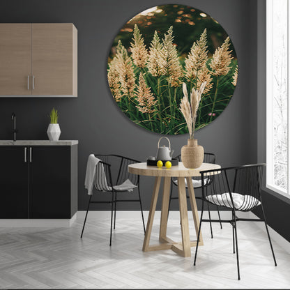 Close-up van Beige Grassen in Zonneschijn forex muurcirkel