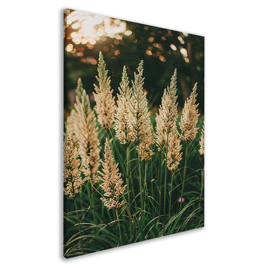 Close-up van Beige Grassen in Zonneschijn canvas