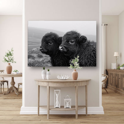 Twee kalveren in monochrome mistige ochtend canvas