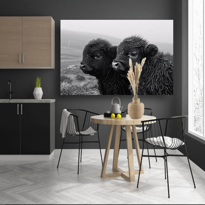Twee kalveren in monochrome mistige ochtend canvas