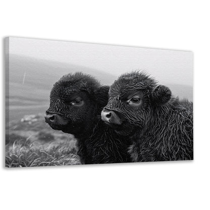 Twee kalveren in monochrome mistige ochtend canvas