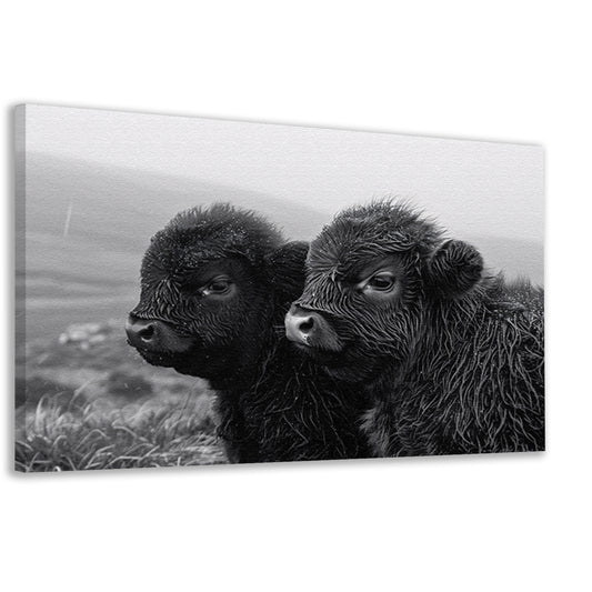 Twee kalveren in monochrome mistige ochtend canvas