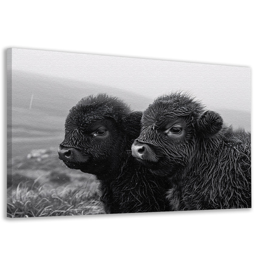 Twee kalveren in monochrome mistige ochtend canvas