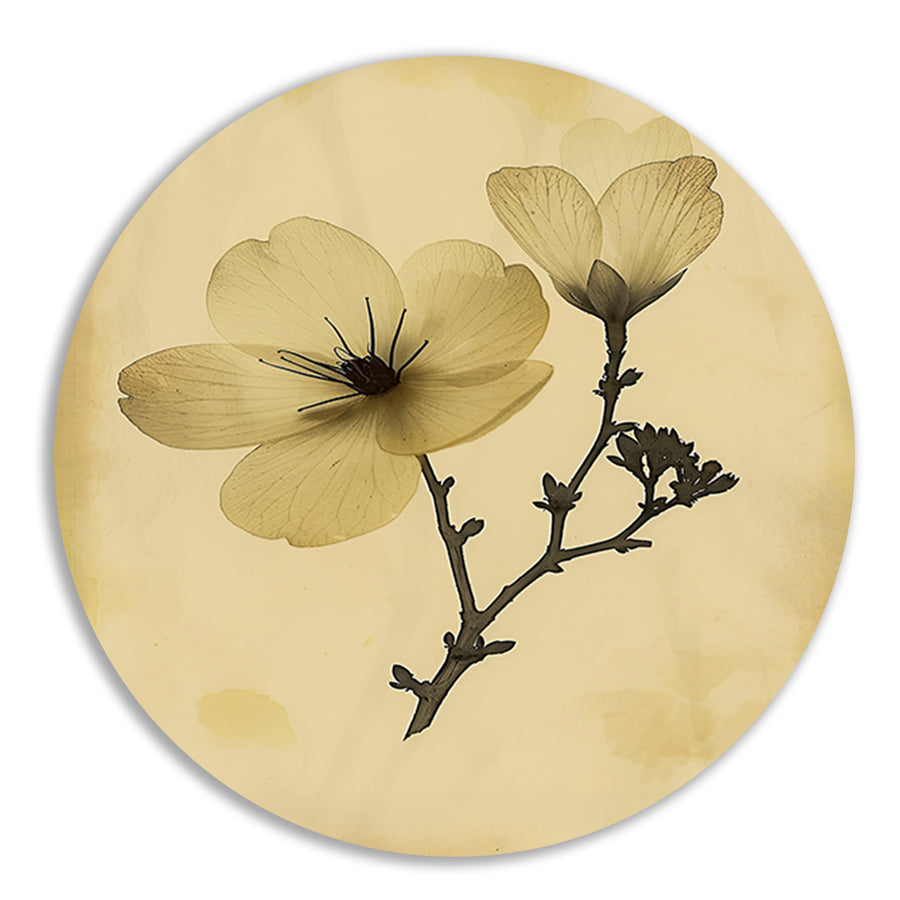 Elegante Bloemen in Sepia op Crème Achtergrond aluminium muurcirkel