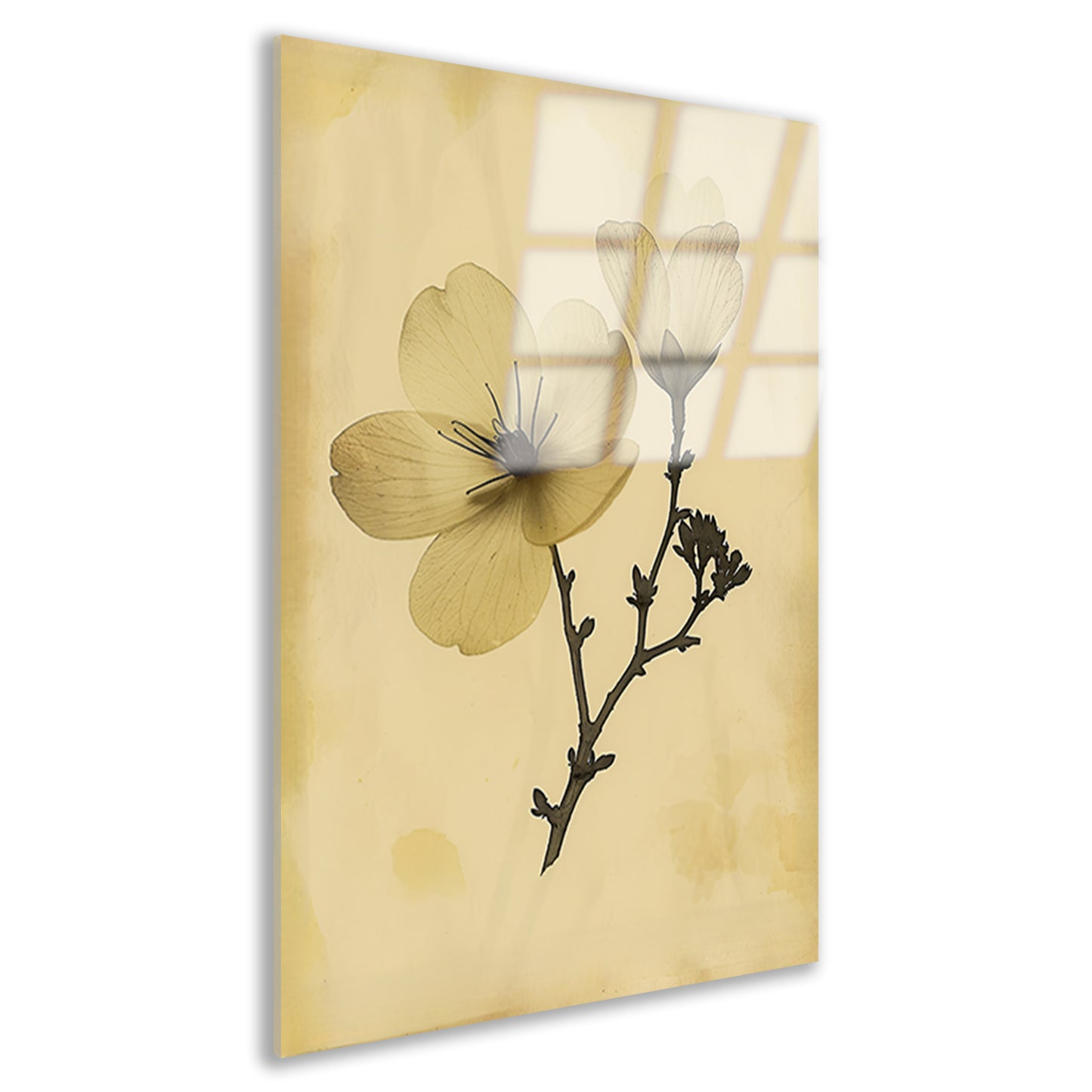 Elegante Bloemen in Sepia op Crème Achtergrond acrylglas