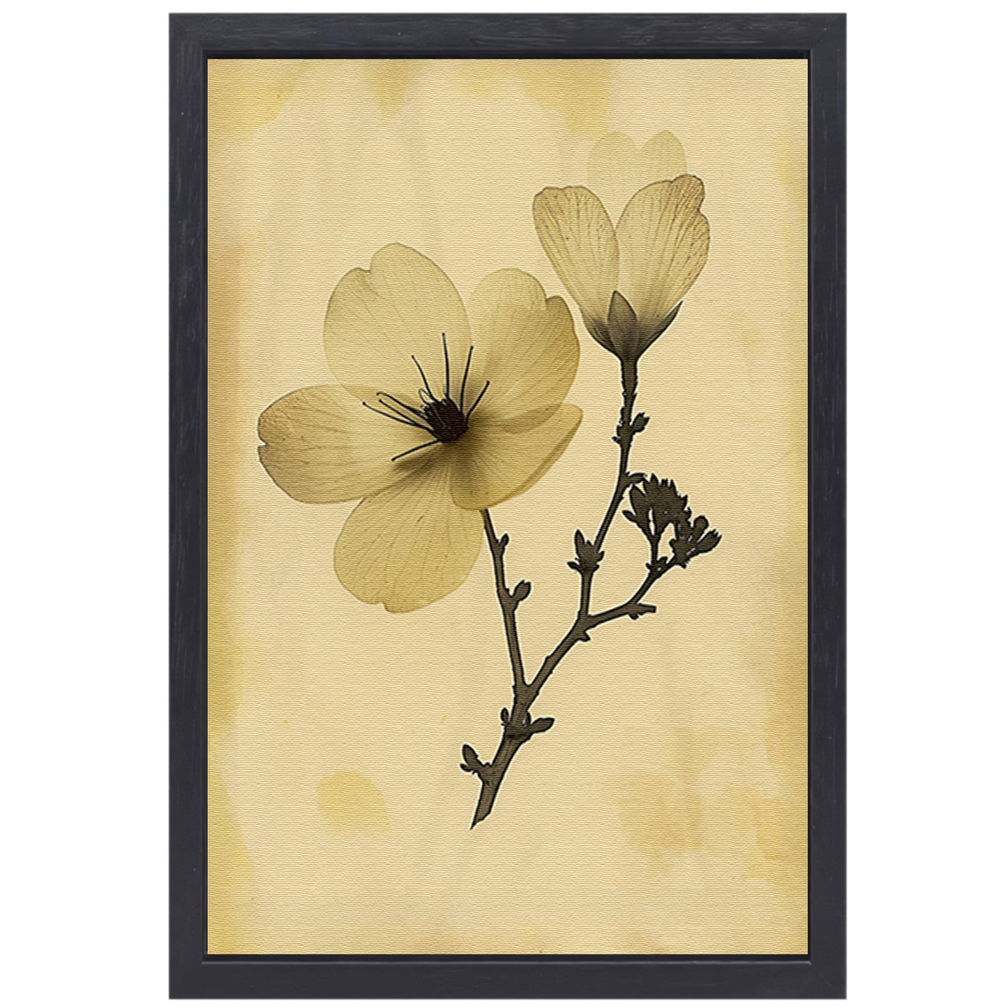 Elegante Bloemen in Sepia op Crème Achtergrond canvas met baklijst
