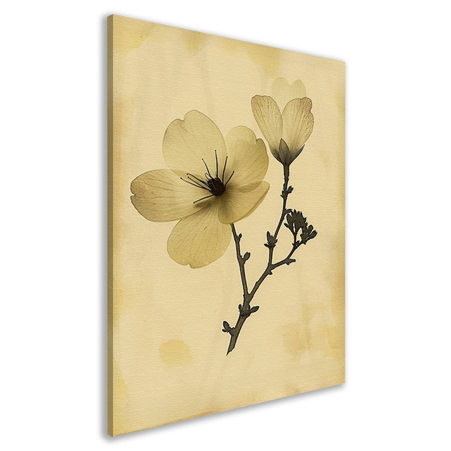 Elegante Bloemen in Sepia op Crème Achtergrond canvas