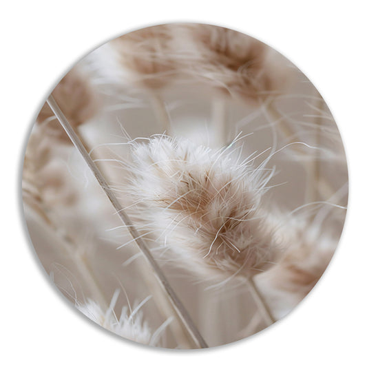 Close-up van Beige Graspluimen forex muurcirkel