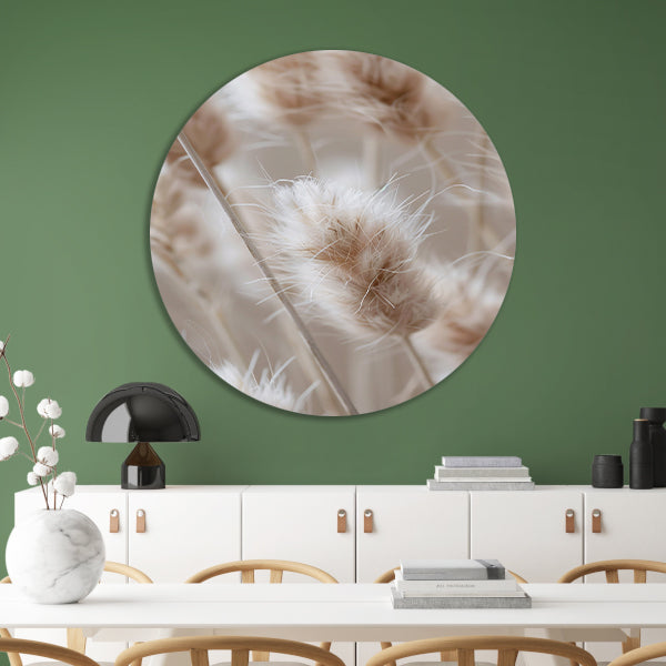 Close-up van Beige Graspluimen forex muurcirkel