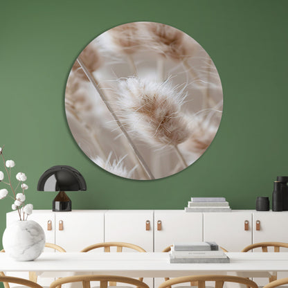 Close-up van Beige Graspluimen forex muurcirkel