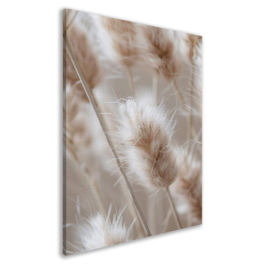 Close-up van Beige Graspluimen canvas