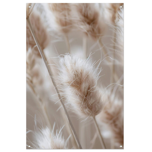 Close-up van Beige Graspluimen tuinposter