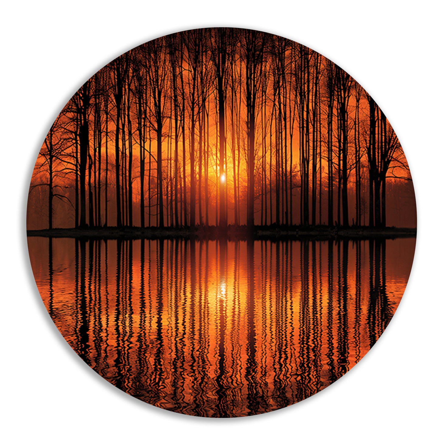 Mystieke zonsondergang in bos bij meer aluminium muurcirkel