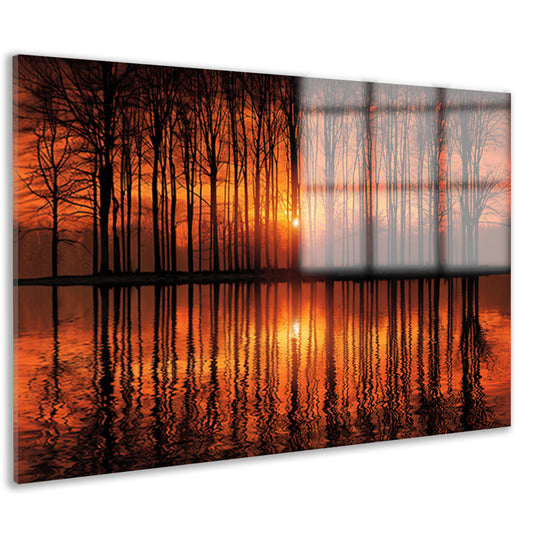 Mystieke zonsondergang in bos bij meer acrylglas
