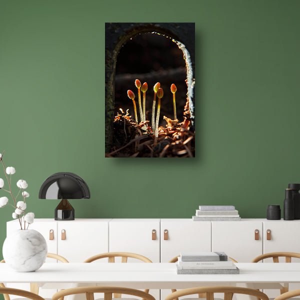 Zwart-witfoto van ontluikende planten canvas