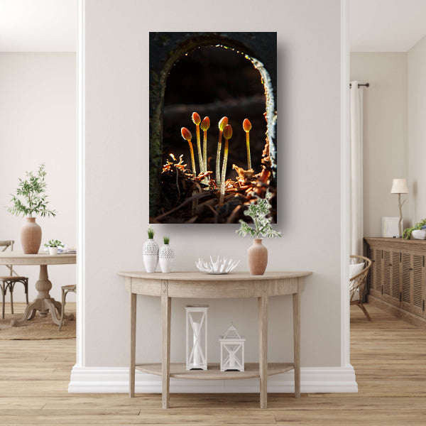 Zwart-witfoto van ontluikende planten canvas