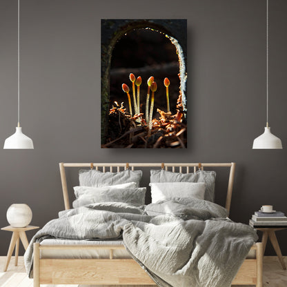 Zwart-witfoto van ontluikende planten canvas