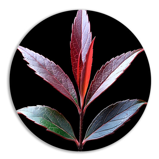Minimalistisch Blad Zwart-Wit aluminium muurcirkel