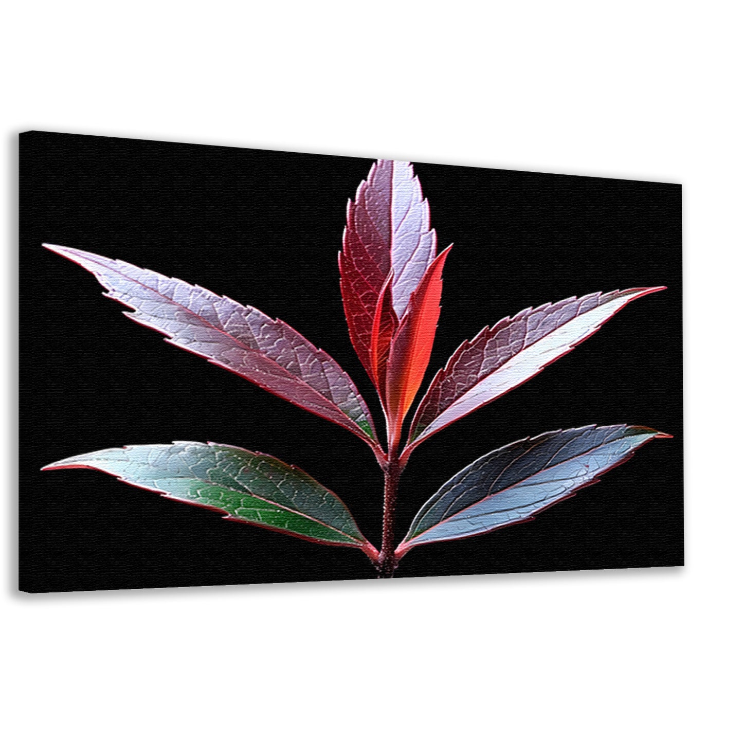 Minimalistisch Blad Zwart-Wit canvas