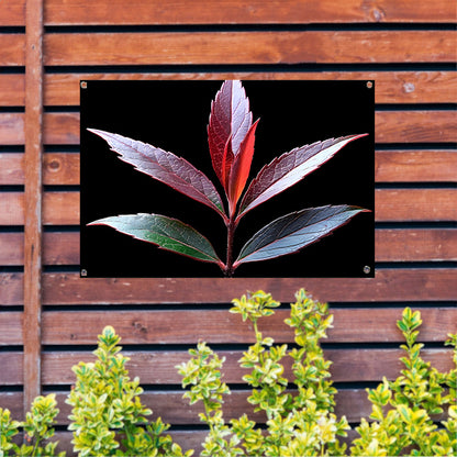Minimalistisch Blad Zwart-Wit tuinposter