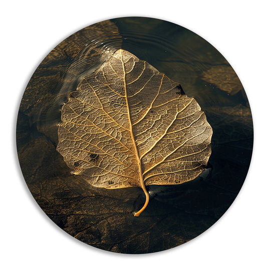 Blad met gouden nerven drijft op donker water aluminium muurcirkel
