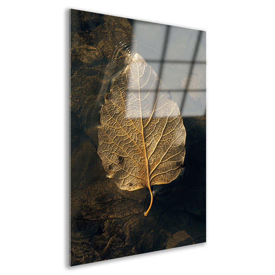 Blad met gouden nerven drijft op donker water acrylglas