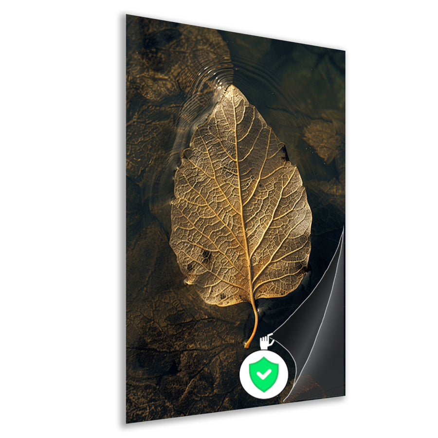 Blad met gouden nerven drijft op donker water poster