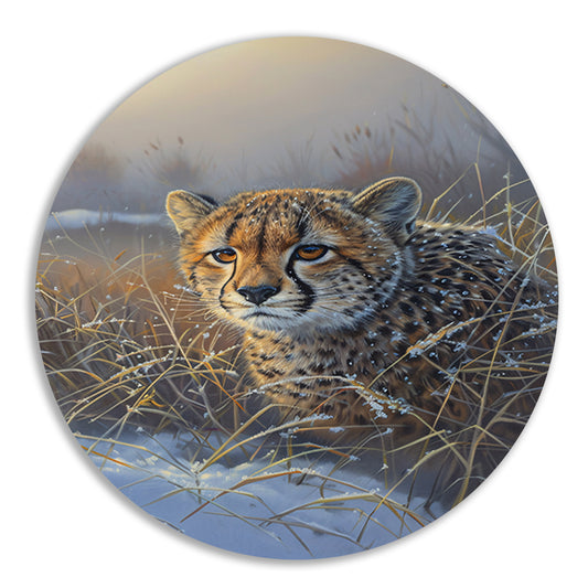 Jonge cheeta in sneeuw bedekt gras aluminium muurcirkel