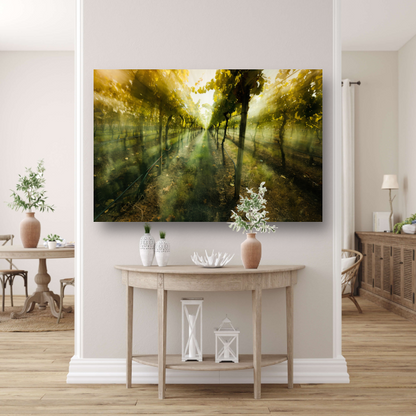 Lichtspel in de ochtendwijngaard acrylglas