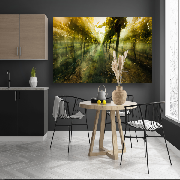 Lichtspel in de ochtendwijngaard acrylglas